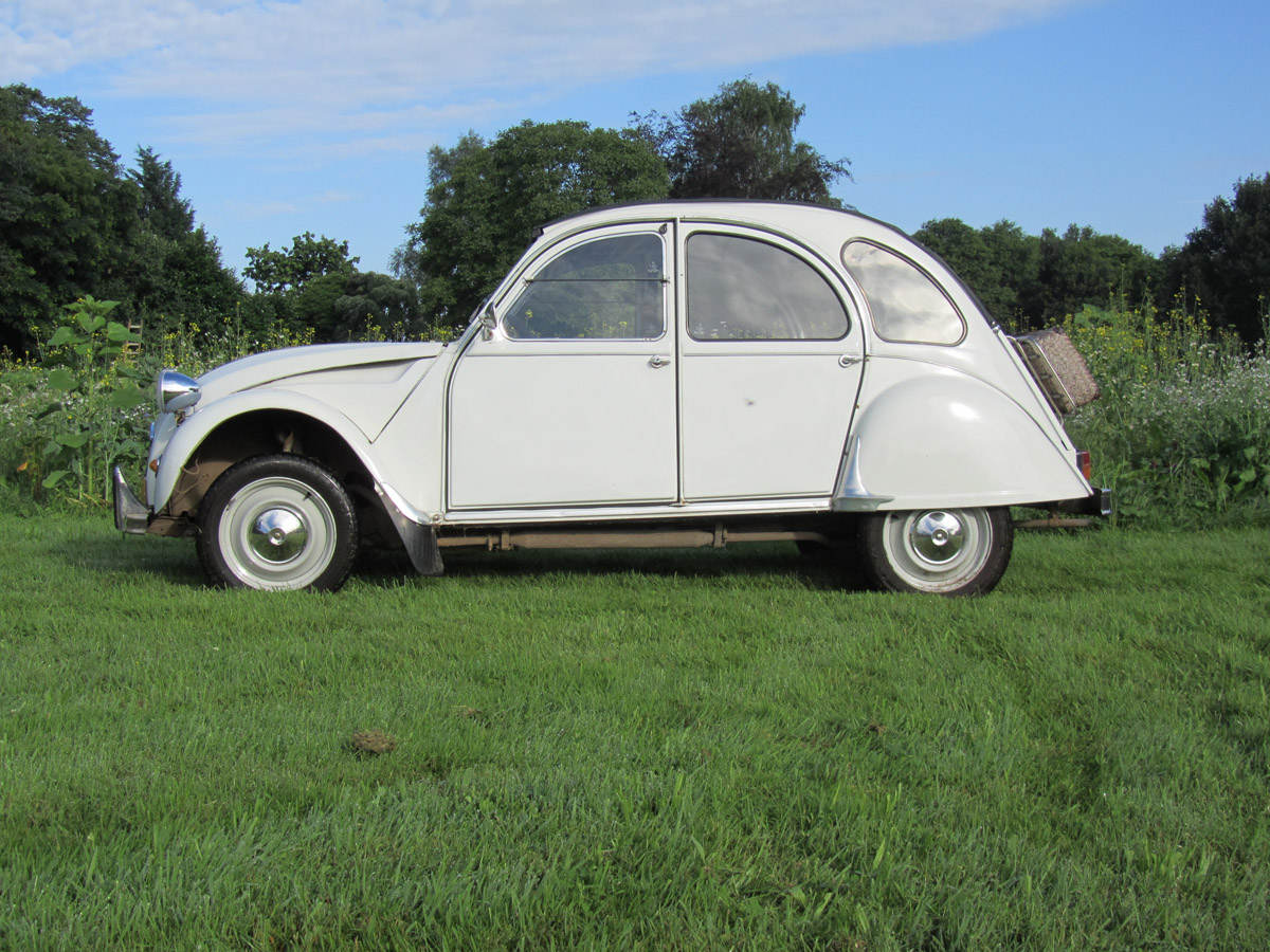 Witte Zwaan