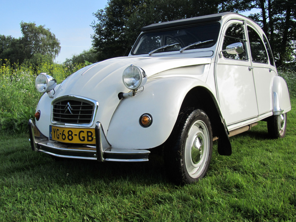Witte Zwaan